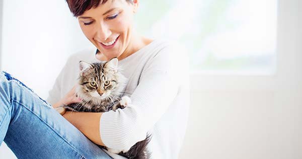 Cat sitting in Palm Beach County FL