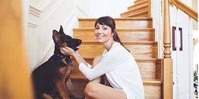 Dog Boarding in the Pet Sitter's Home in Palm Beach County FL