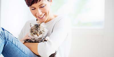 In home cat sitting in Palm Beach County FL