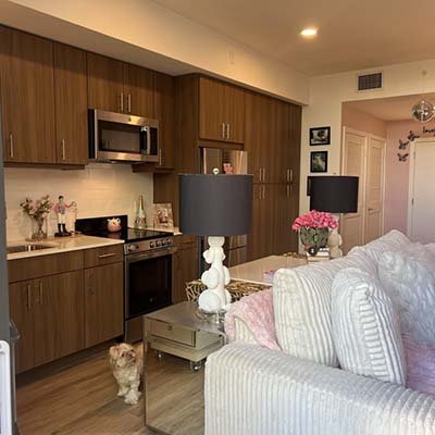 Small dog boarding in downtown West Palm Beach 