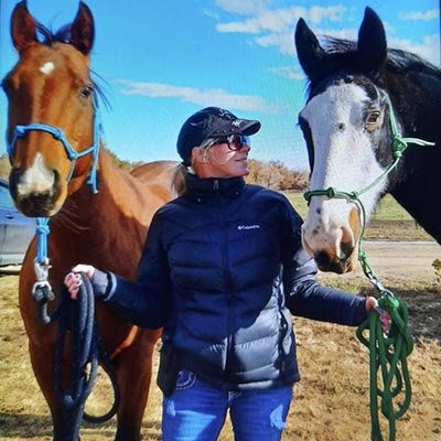 Horse sitting in Loxahatchee FL