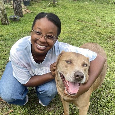 Jada, Dog sitter in Loxahatchee FL