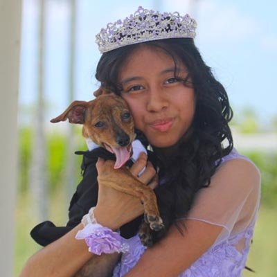 Dog Sitter in The Acreage in FL