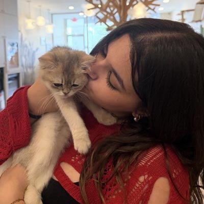 Cat Sitter in Boca Raton FL