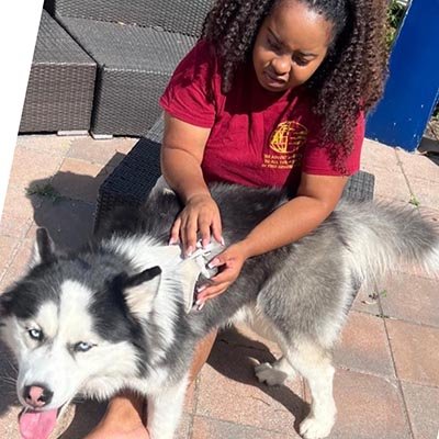 Dog Sitter in Lake Worth FL 